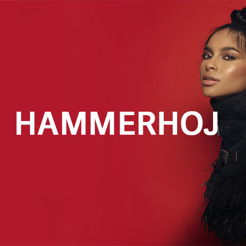 09/06/24 – Hammerhoj