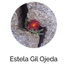 estela-gil