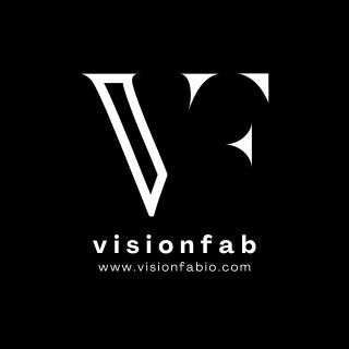 1728043795579eafb339-file-116-logo-VisionFab