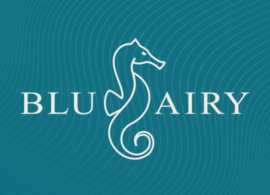 Logo_Bluairy_Azul