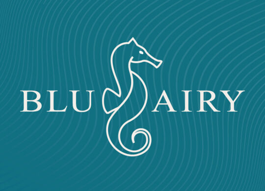 Logo_Bluairy_Azul 1x1