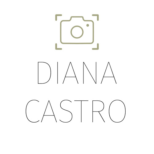 Diana Yamileth Castro Garcia