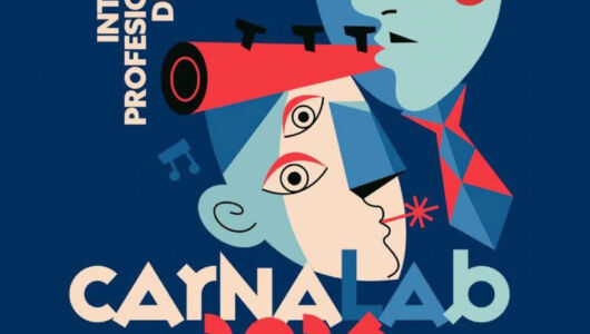 profesionalizacion carnaval profesionalizacion carnaval