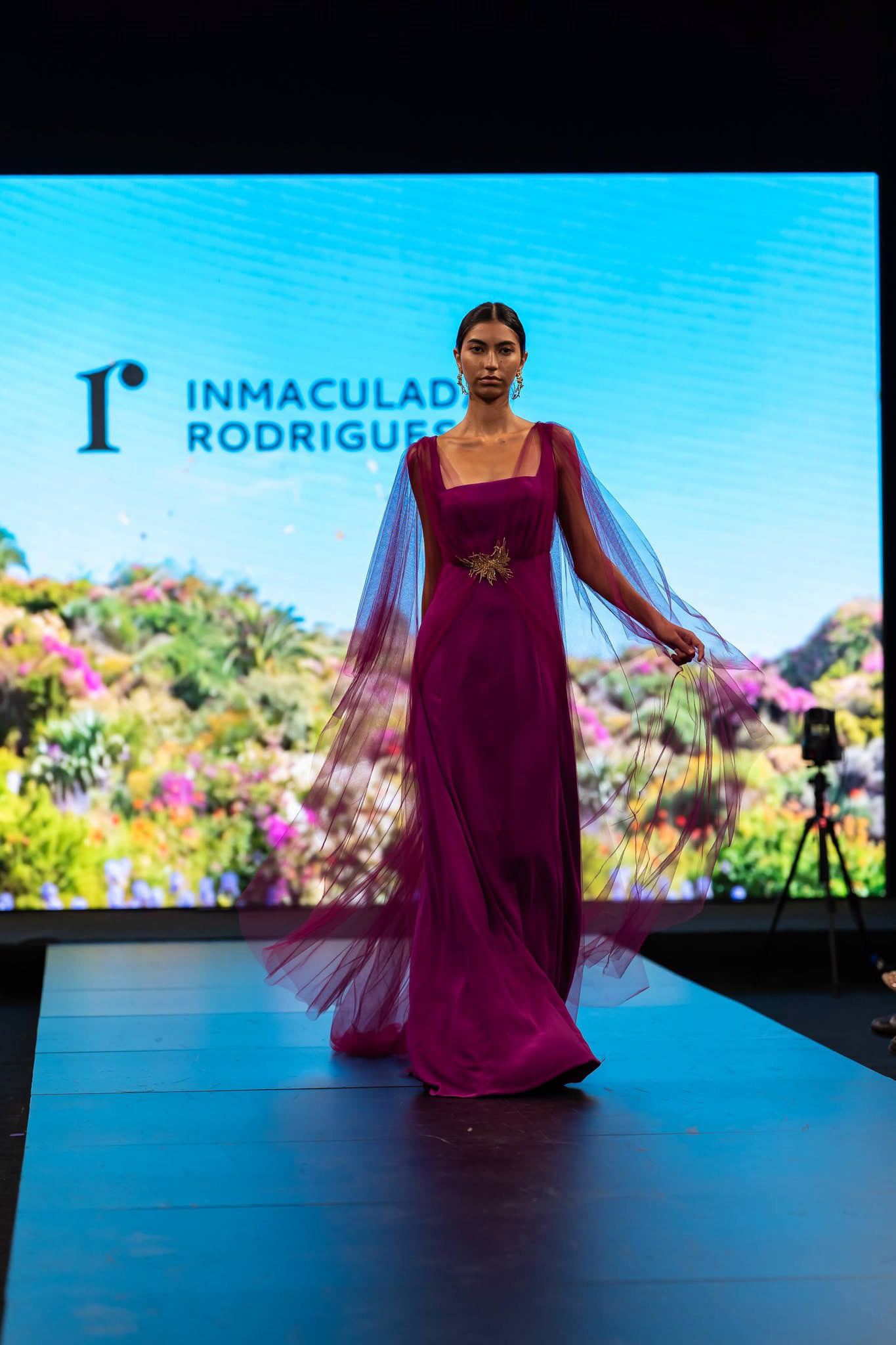 Immaculada rodrigues (16)